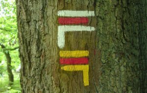 Boutigny-sur-Essonne (12 kms) + visite de la miellerie