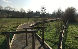 (matinée) Soignolles (chemin des Roses) 12 km