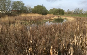 Ru des Prés-Hauts 12 km