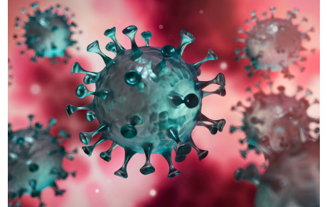 informations crise sanitaire